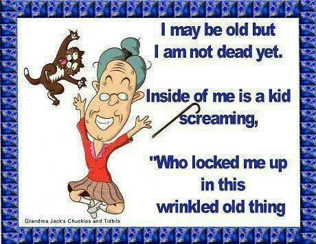 image-739 This Blog Shows The Experiences of an Old Lady In a Funny Way (20 Jokes)