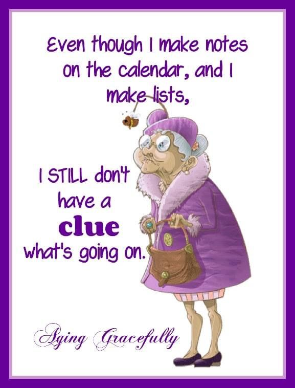image-742 This Blog Shows The Experiences of an Old Lady In a Funny Way (20 Jokes)