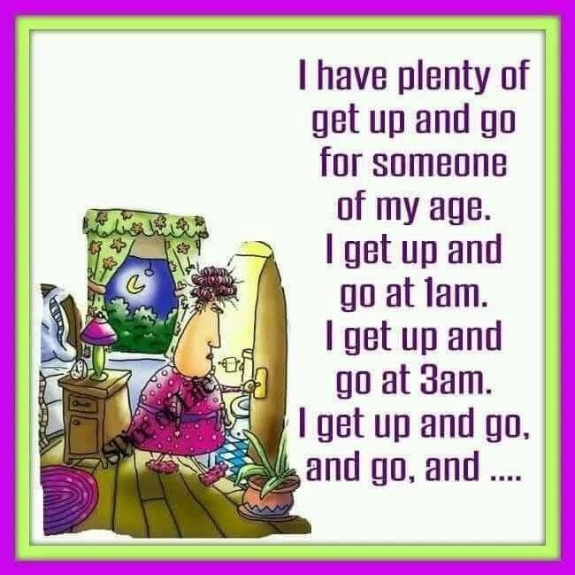 image-743 This Blog Shows The Experiences of an Old Lady In a Funny Way (20 Jokes)
