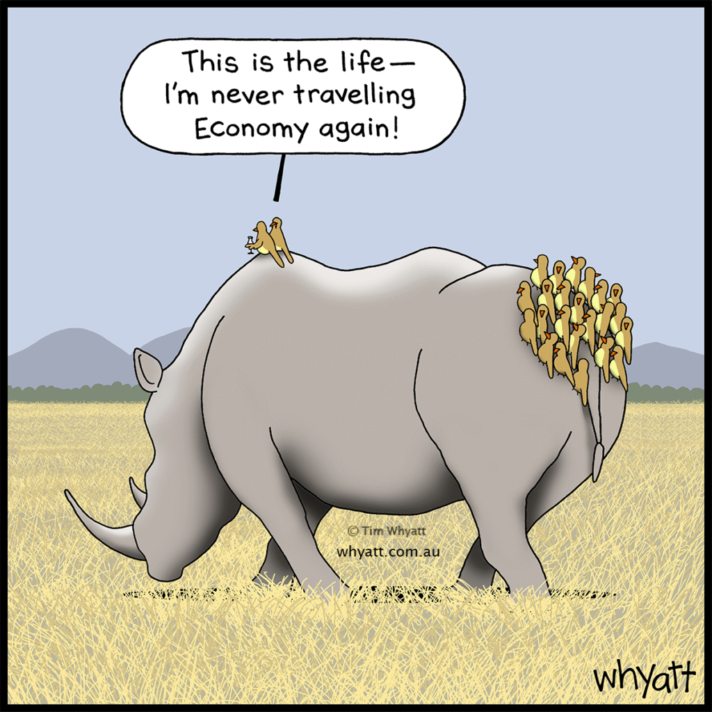 image-782-1024x1024 Here are 20 Funny Whyatt Cartoons That Will Make You Laugh Out Loud