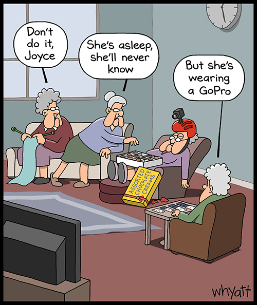 image-788 Here are 20 Funny Whyatt Cartoons That Will Make You Laugh Out Loud