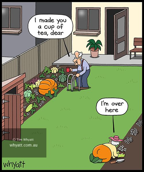 image-794 Here are 20 Funny Whyatt Cartoons That Will Make You Laugh Out Loud