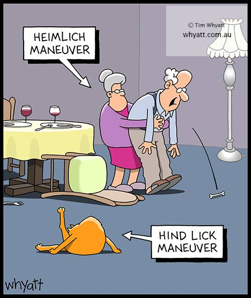 image-806 An Artist Whyatt Is Back With New 20 One-Panel Jokes To Giggle You