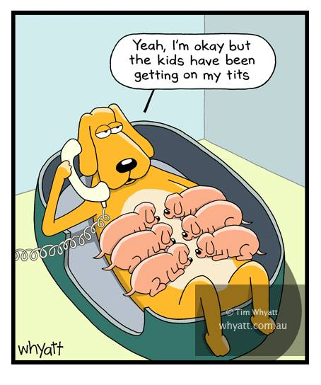 image-812 An Artist Whyatt Is Back With New 20 One-Panel Jokes To Giggle You