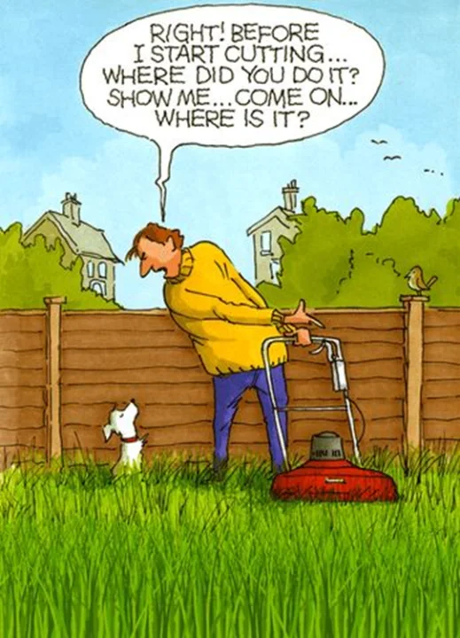 image-991 20 Humorous Cartoons By An Artist Who Captures Jokes and Funny Situations